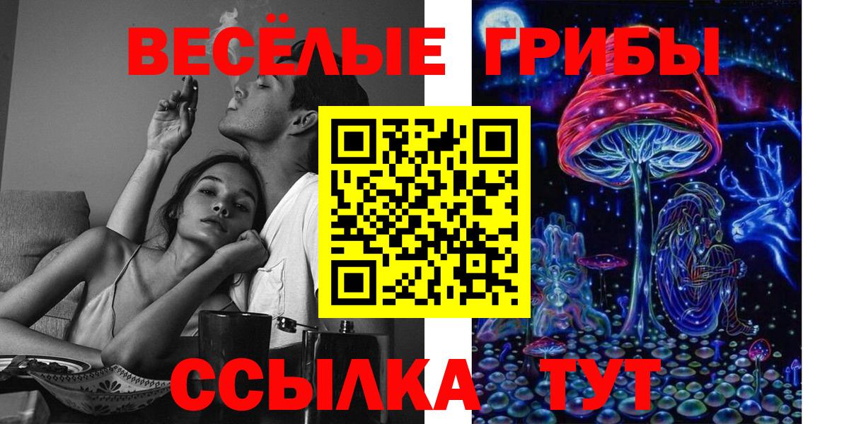 Галлюциногенные грибы Psilocybe  Вход с VPN  Павловский Посад 