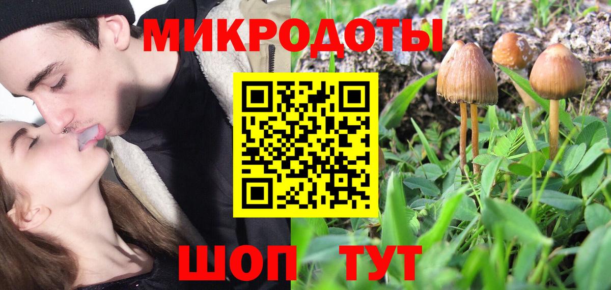 Галлюциногенные грибы ЛСД Павловский Посад